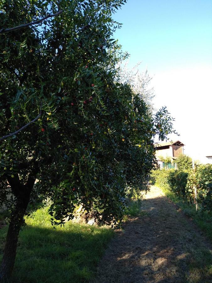 "Country House Il Brolo" Polpenazze del Garda Exterior foto